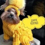 5a52a2541c41fe3fff87e495b4f4397e